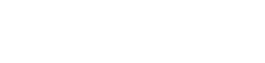 BDC AI Logo