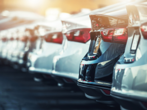 BDC Sales